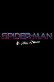 Örümcek Adam: Eve Dönüş Yok