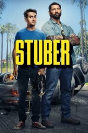 Çılgın Sürücü – Stuber